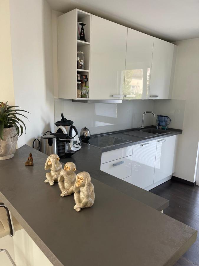 Gemuetliche Villa Am Waldrand In 타우누스타인 외부 사진